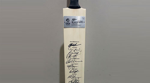 Cricket Bat